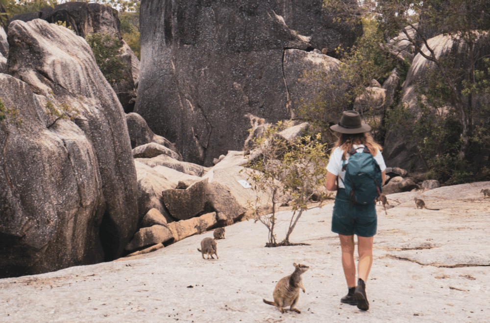 Granite Gorge National Park in the Atherton Tablelands
