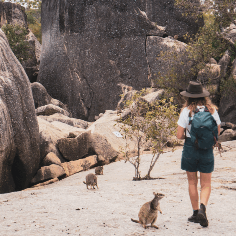 Granite Gorge National Park in the Atherton Tablelands